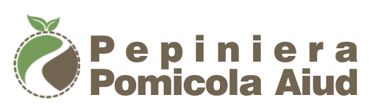 Pepiniera pomicola aiud